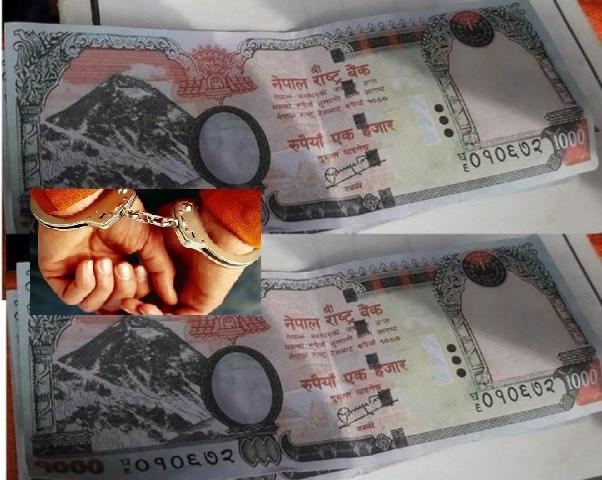 सर्लाहीको मलंगवाबाट १७ लाख रकमसहित २ जना पक्राउ