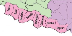 प्रदेश २ मा थप ८३ जना कोरोना संक्रमण पुष्टि