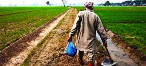 सहरमा रोजगारी गुम्यो, गाउँमा खेती गर्न बीउ र मल छैन