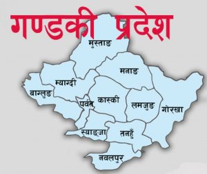 गण्डकी प्रदेशमा थप ३७ जना कोरोना संक्रमण पुष्टि , गण्डकी प्रदेशमा कोरोना संक्रमितको संख्या १८८