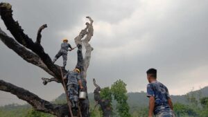 चट्याङले लागेपछि दुई दिनसम्म बलिरह्यो कटहरको रुख