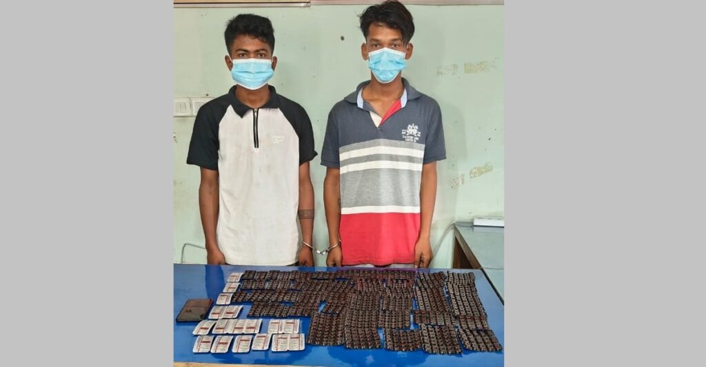 सर्लाहीमा लागू औषधसहित दुई युवक पक्राउ