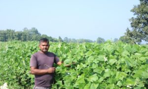 व्यावसायिक तरकारीखेतीबाट वार्षिक १० लाख बचत