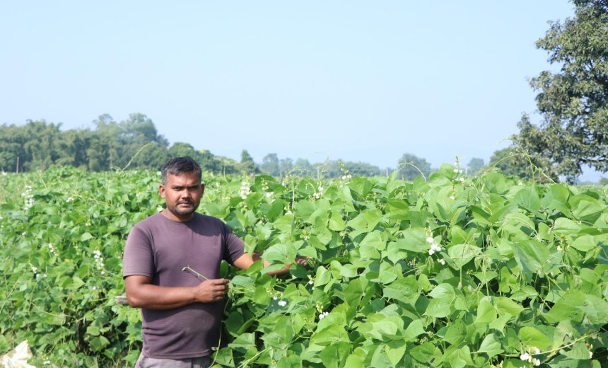 व्यावसायिक तरकारीखेतीबाट वार्षिक १० लाख बचत